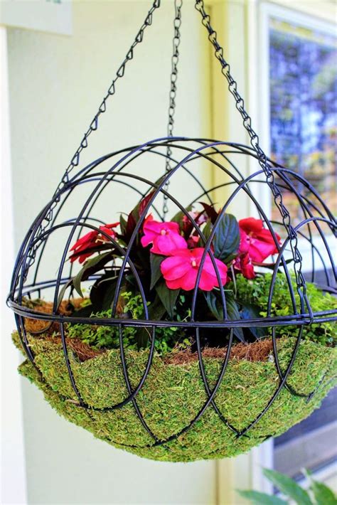 hanging sphere|Sphere Hanging Basket